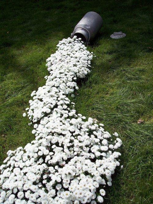 έπιπλα κήπου ιδέες καλλιτεχνικό σχήμα λουλούδια λευκό γκαζόν