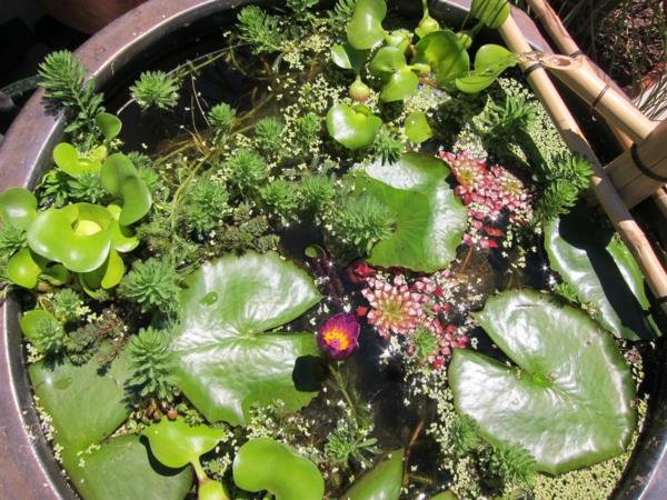 λίμνη κήπου κατασκευάστε μίνι κεραμικές γλάστρες