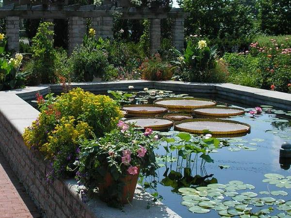 λίμνη κήπου μεσογειακό στυλ φύτευση λουλουδιών