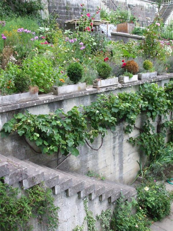 μοντέρνο σχεδιασμό κήπου σκάλες κήπου έξω από σκάλες βότανα κατάφυτα