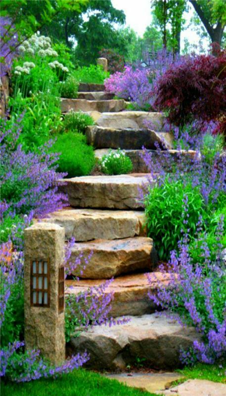 Σκάλες κήπου έξω από σκάλες βότανα λουλουδάτα