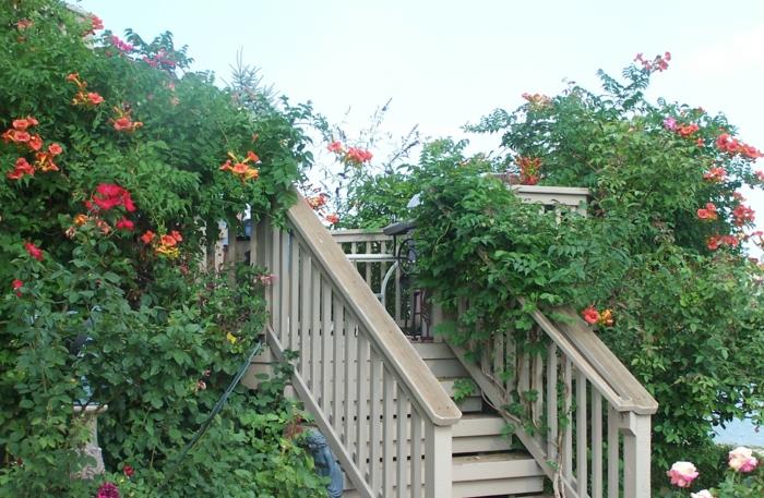 εξωτερικές σκάλες βότανα ξύλινα κάγκελα