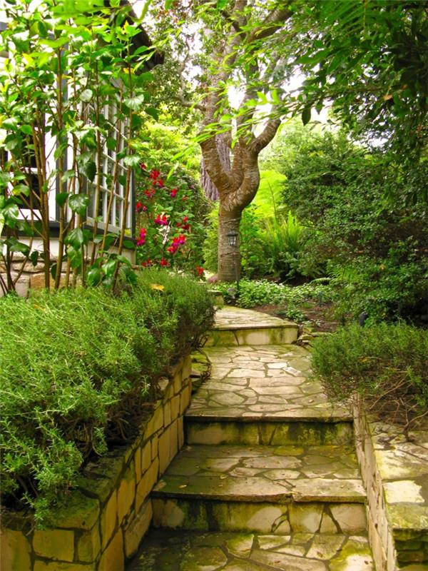 μοντέρνο σχεδιασμό κήπου εξωτερικές σκάλες βότανα πέτρινες σκάλες