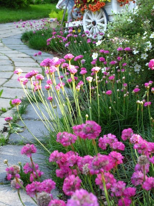 ιδέες διαδρομής κήπου φρέσκες ιδέες ντεκό όμορφες ιδέες κήπου