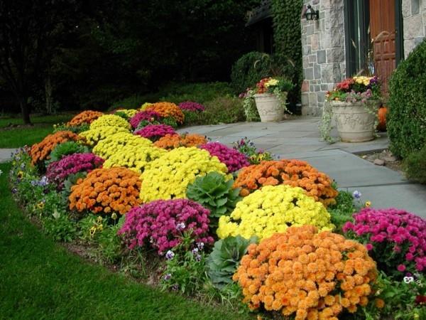 ιδέες διαδρομής κήπου κομψό σχέδιο χρωματιστά λουλούδια