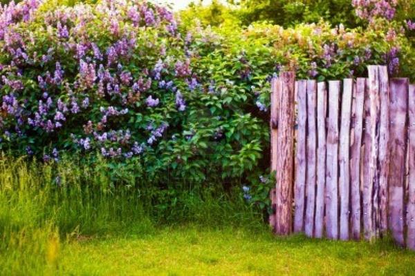 φράχτη κήπου και σύνορα παλιά ξύλινη ιδέα πραγματικά εντυπωσιακή