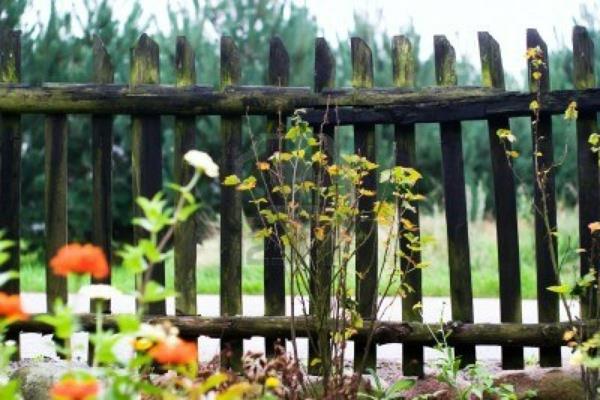 Φράκτης κήπου και σύνορα κήπου ιδέες παλιά ξύλο ιδέα πραγματική