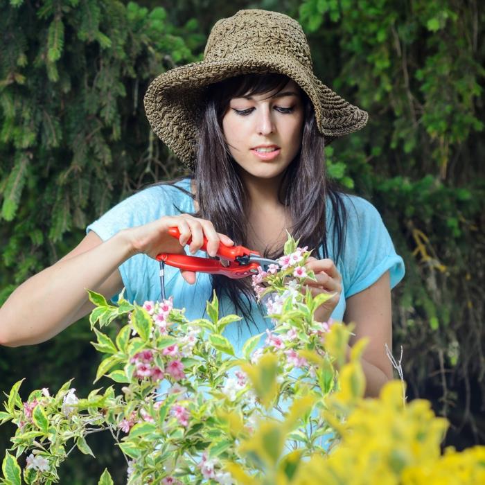 ώρα κήπου κηπουρικά σκεύη gadgets κοπής γυναίκα
