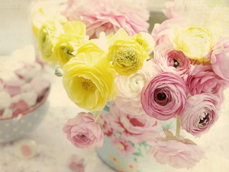 κίτρινο ροζ ranunculus ανοιξιάτικα λουλούδια βάζο shabby chic στυλ