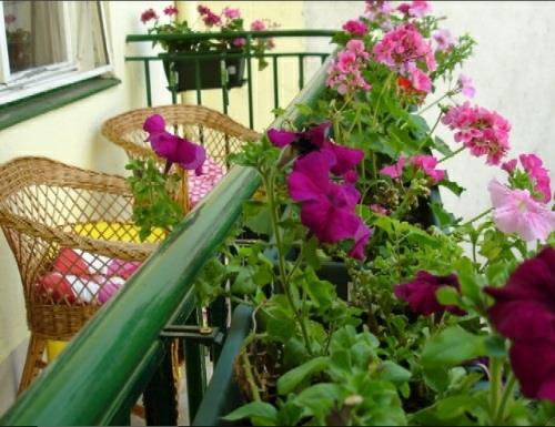 ένα ζεστό μπαλκόνι σχεδιασμός πάγκων καρέκλες λουλούδια ροζ πράσινο εξωτερικό