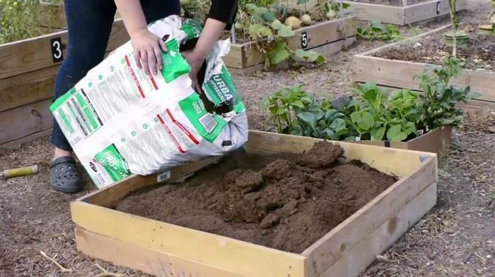 λαχανόκηπος δημιουργούν χαρούμενες συγκομιδές ιδέες μπαλκονιού σχεδιασμός κήπου μητέρα γη