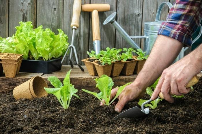 λαχανόκηπος δημιουργούν χαρούμενες συγκομιδές ιδέες μπαλκονιού σχεδιασμός κήπου ραπανάκια