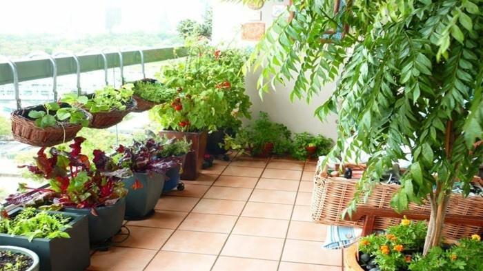 δημιουργία λαχανικών κήπων ευτυχισμένη συγκομιδή ιδέες μπαλκόνι σχεδιασμός κήπου χρήση χώρου