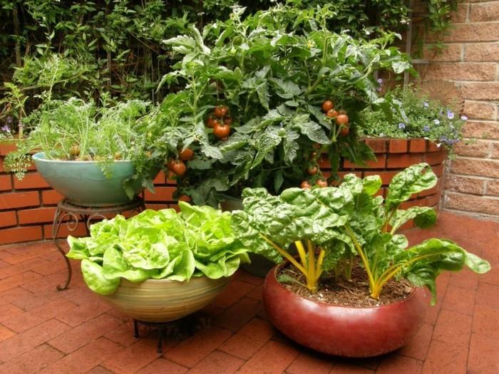 δημιουργήστε λαχανόκηπο ευτυχισμένη συγκομιδή ιδέες μπαλκόνι σχεδιασμός κήπου πώς μεγαλώνουν τα λαχανικά