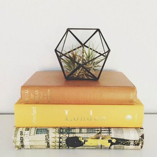 γεωμετρικό terrarium Meg A Myers Designs
