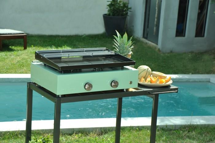 υγιεινή σχάρα plancha grill φρούτα πεπόνι ανανά