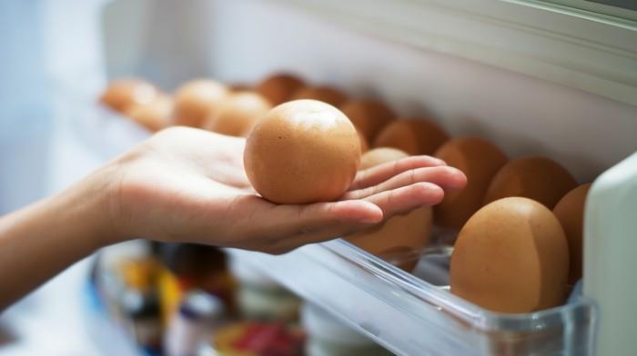 ιδέες ζωντανών υγιεινών αυγών ψυγείου αποθήκης