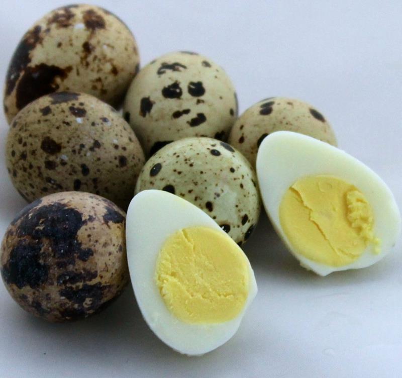 υγιεινά τρόφιμα για παιδιά μαγειρεμένα αυγά ορτυκιού
