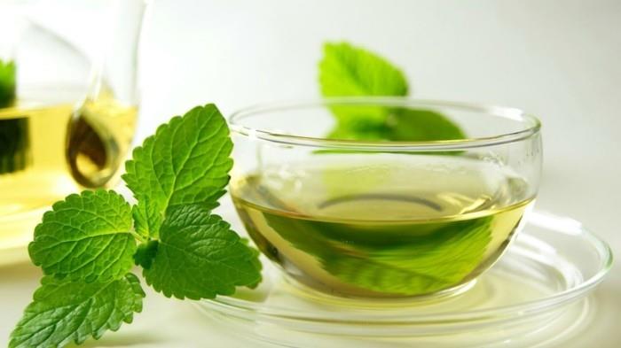υγιεινό τσάι υγιεινός τρόπος ζωής πιείτε πράσινο τσάι αδυνάτισμα