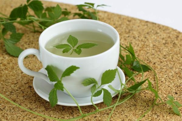 υγιεινό τσάι βότανο της αθανασίας jiaogulan