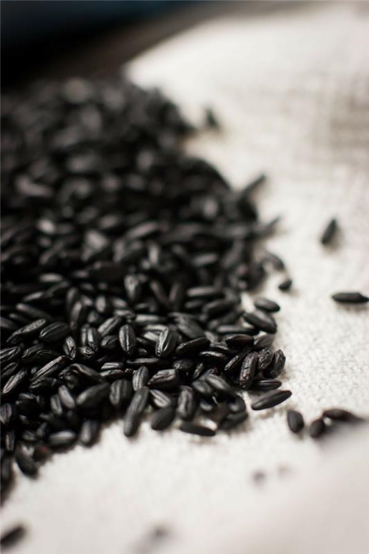 υγιεινό φαγητό Ayurveda kapha άνθρωποι μαύρο ρύζι