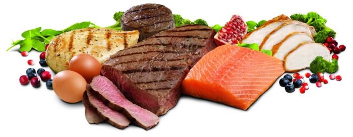 υγιεινή διατροφή πρωτεΐνες κρέας ψάρια αυγά μούρα πουλερικά