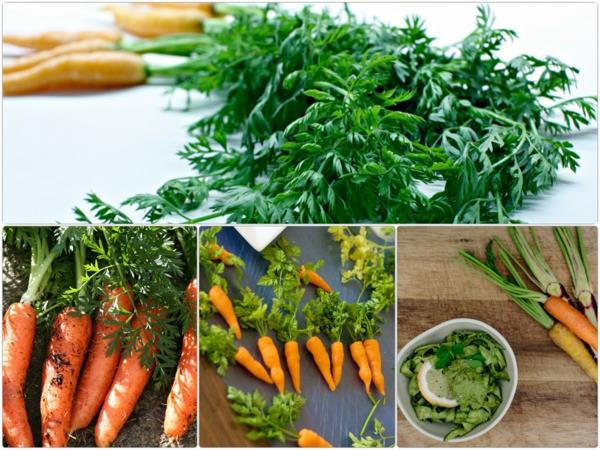 συνταγές υγιεινών τροφίμων μαγειρεύουμε καρότα με φύλλα