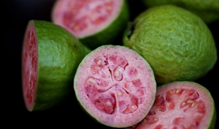 υγιή φρούτα ζουν υγιή γκουάβα το κυριότερο είναι τα υγιή φύλλα