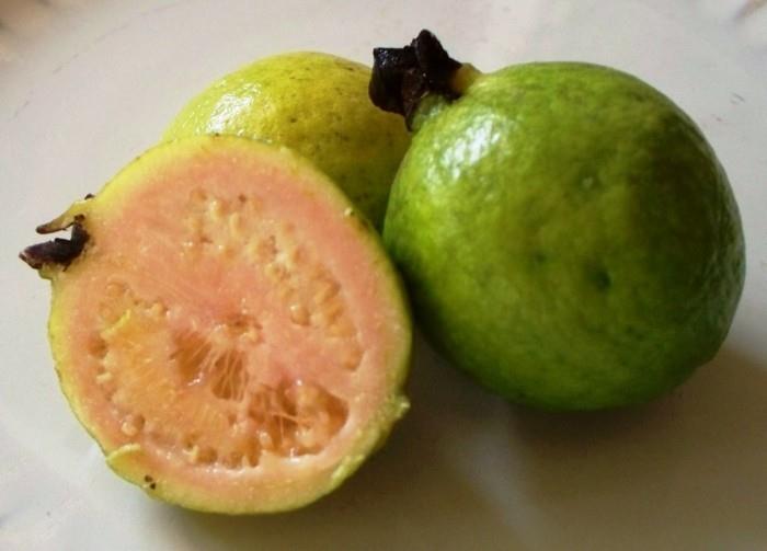 υγιεινά φρούτα ζουν υγιή γκουάβα το κύριο πράγμα υγιής ταπετσαρία5