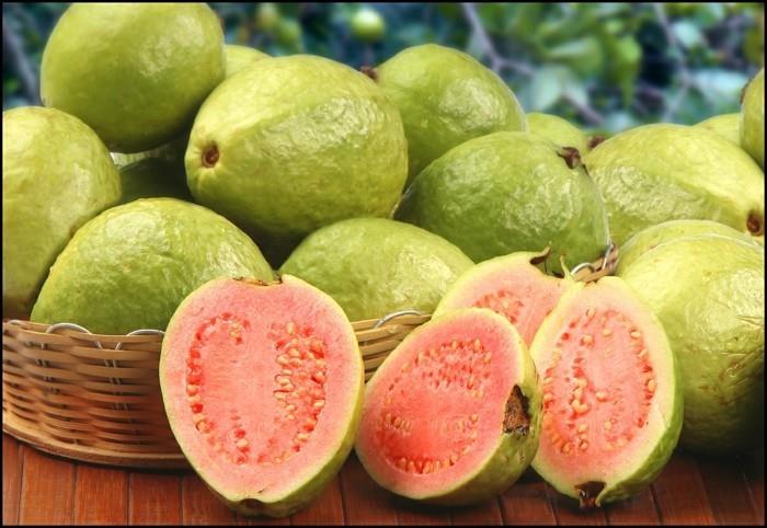 υγιεινά φρούτα ζουν υγιή γκουάβα το κύριο πράγμα είναι υγιές