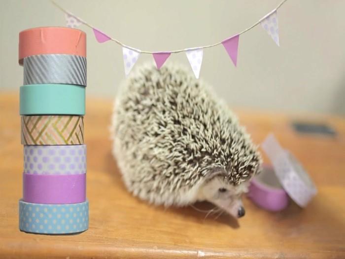 Φτιάξτε τη δική σας γιρλάντα από washi tape hedgehog