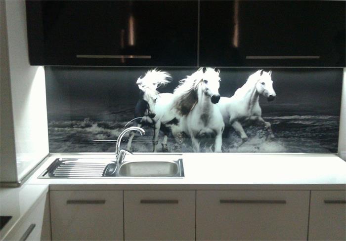 γυαλί πίσω τοίχος μαύρο λευκό κουζίνα άλογα φύση