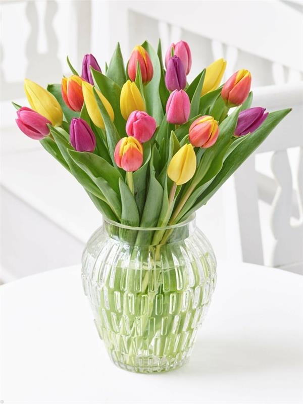 γυάλινο βάζο για κομμένα λουλούδια διατηρεί τις τουλίπες φρέσκες για περισσότερη φροντίδα