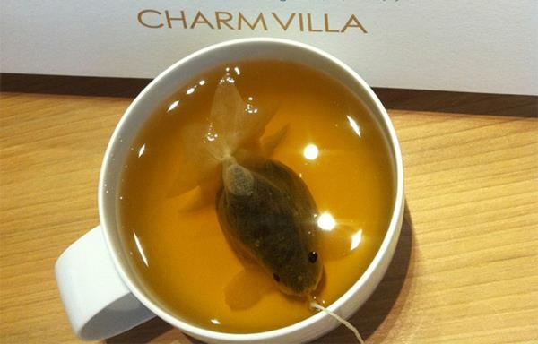χρυσές σακούλες τσαγιού ψαριών πίνουν τσάι
