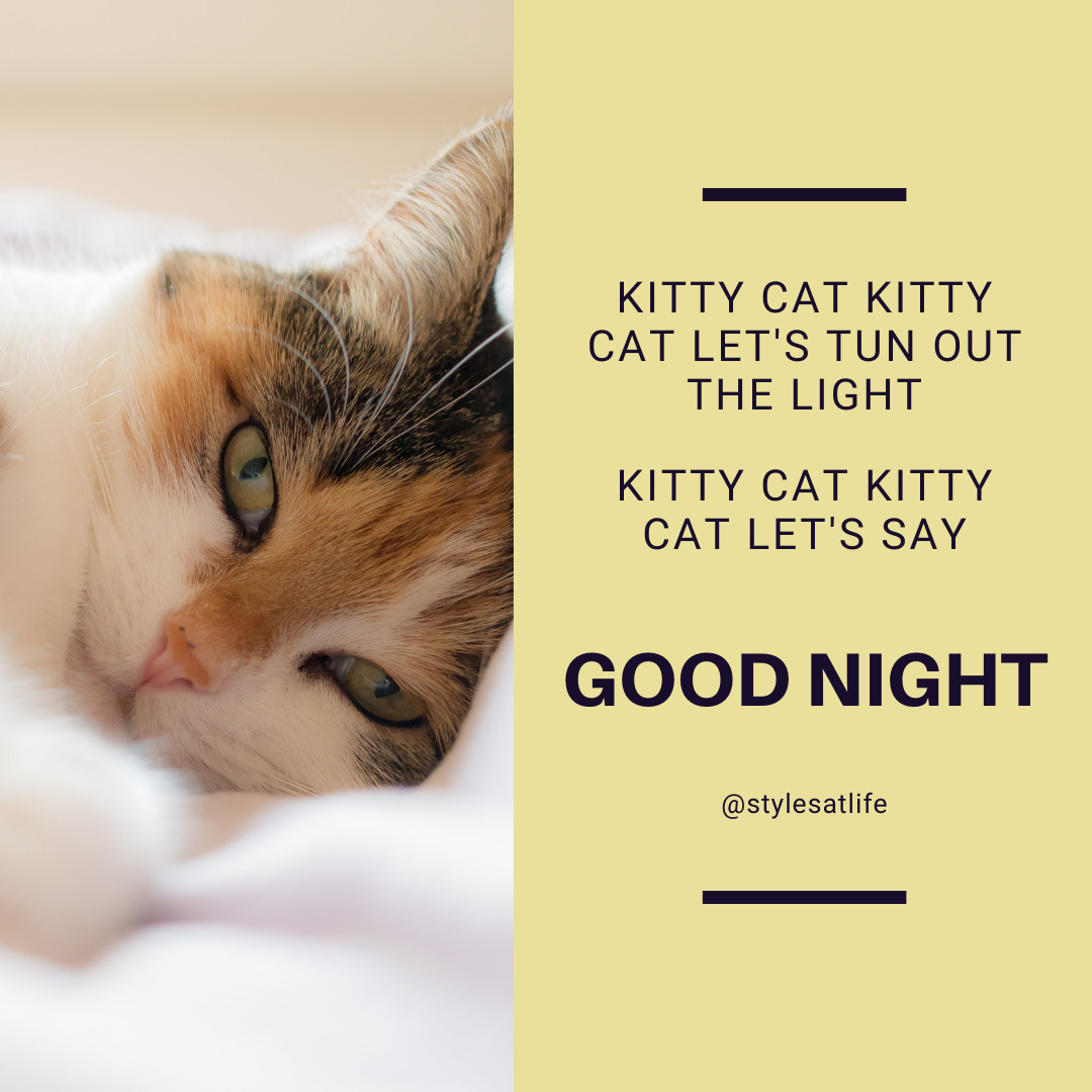 kedi yavrusu iyi geceler görüntüleri