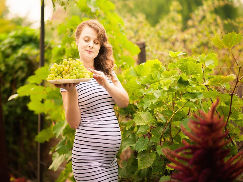 Vynuogės nėštumo metu