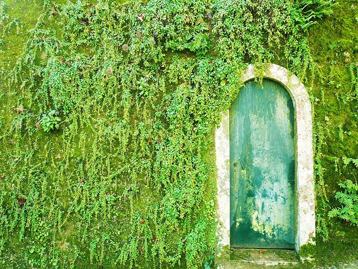 πράσινα κατοικίδια επανασχεδιάζουν τις μοντέρνες μπροστινές πόρτες ζωντανή διακόσμηση