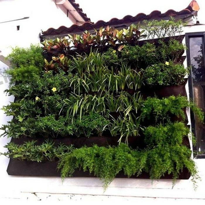 πράσινοι τοίχοι φυτά κάθετο κήπο