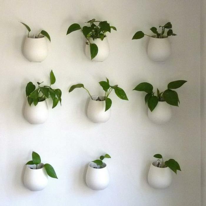 πράσινοι τοίχοι γλάστρες φυτών διακόσμηση τοίχου