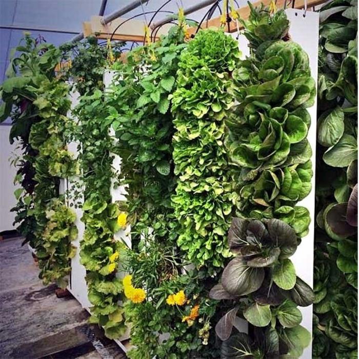 πράσινοι τοίχοι κάθετοι κήποι λουλούδια λαχανικών
