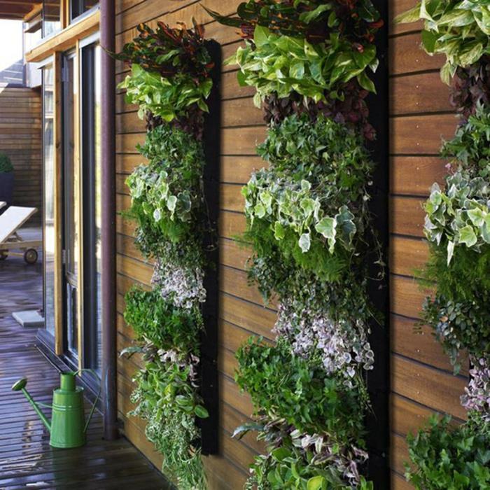 πράσινοι τοίχοι κάθετα φυτά κήπου