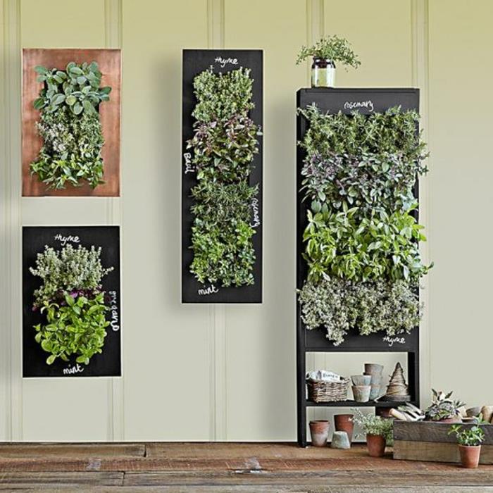 πράσινοι τοίχοι διακόσμηση τοίχων κατακόρυφο πράσινο βότανα φυτά