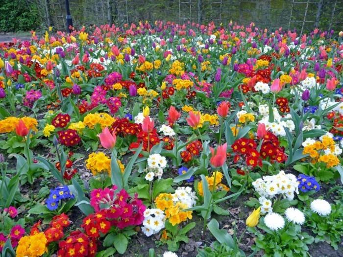 πράσινος κήπος με χρωματιστά λουλούδια