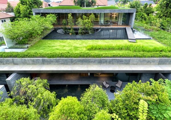 πράσινη στέγη πισίνα λιβάδια