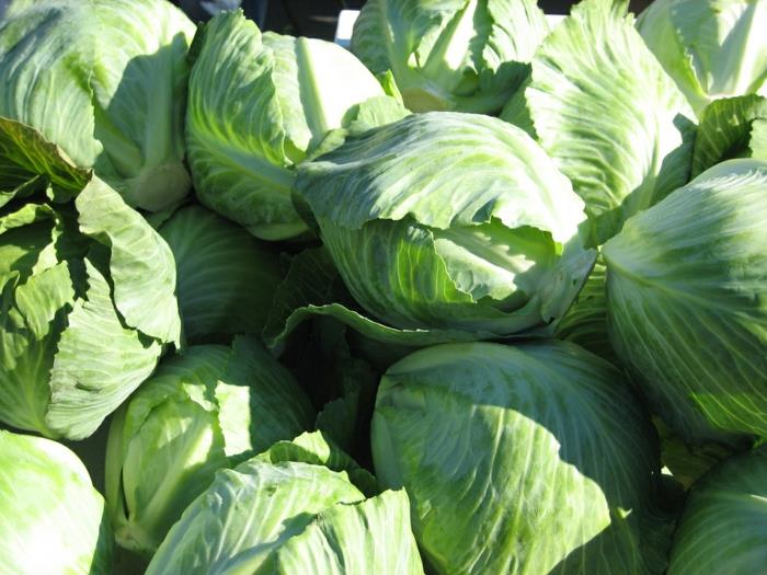 πράσινα λαχανικά συμβουλές υγιεινής διατροφής λευκή ποικιλία λαχανικών λαχανικών