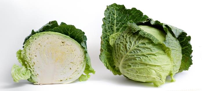 πράσινα λαχανικά λευκό λάχανο τρώνε το φθινόπωρο υγιεινά πλούσια σε βιταμίνες