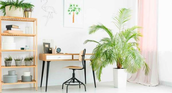 Δημιουργήστε ένα πράσινο και βιώσιμο σπίτι φυτά εσωτερικού χώρου γραφείου
