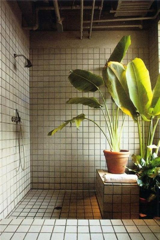 πράσινα φυτά μπανάνες σχεδιασμού μπάνιου