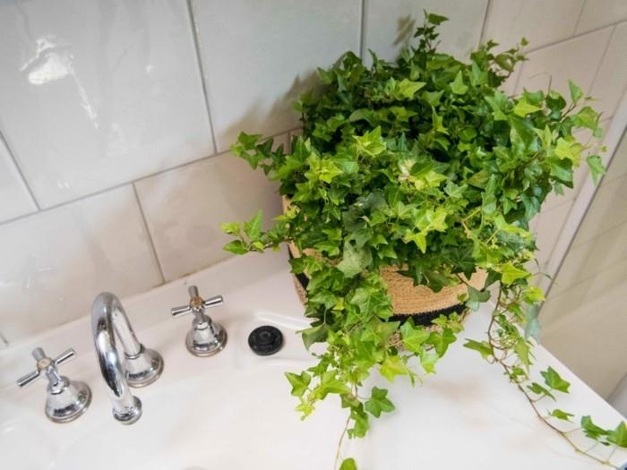 πράσινα φυτά μπάνιο σχεδιασμός κισσός διπλής όψης