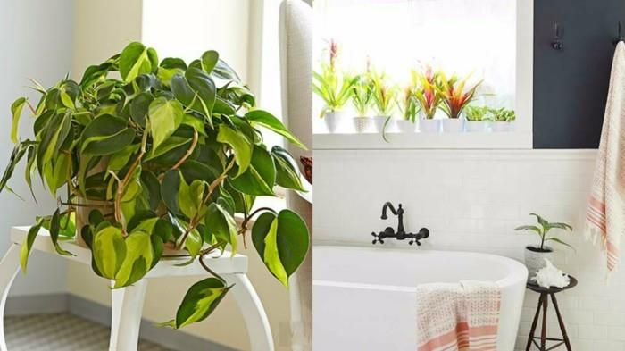 πράσινα φυτά μπάνιο σχεδιασμός διπλή θέα